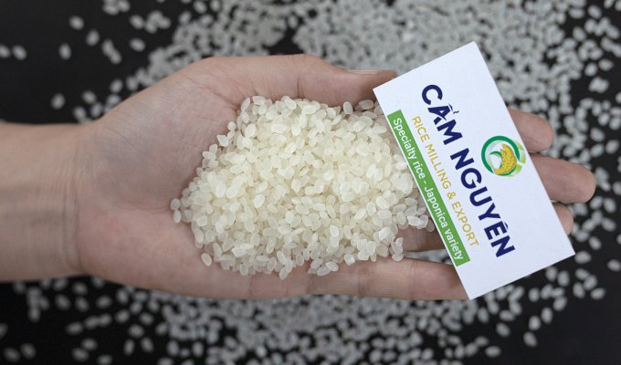 Gạo Nhật đặc sản